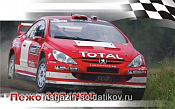 Сборная модель из пластика Автомобиль Пежо 307 WRC 1:43 Моделист - фото