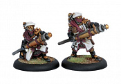 PIP 32019 Protectorate Deliverers Unit BOX Warmachine. Фэнтези - фото