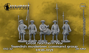 Мушкетёрская командная группа (1708-1721) Н 5 шт, 28 мм, Аванпост - фото