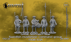 Мушкетёрская командная группа (1708-1721) Н 5 шт, 28 мм, Аванпост