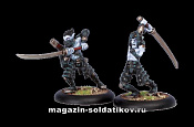 PIP 73012 Legion of Everblight Blighted Swordsmen BLI Warmachine - фото