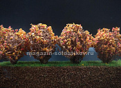 Материалы для создания диорам Придорожные растения 5шт. золотая осень Dasmodel - фото