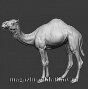 Сборная миниатюра из смолы Верблюд №1 54 мм, Chronos miniatures - фото