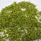 Присыпка ранняя зеленая средняя (имитация травы), Dasmodel