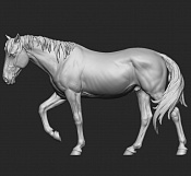 Сборная миниатюра из смолы Лошадь №24, 54 мм, Chronos miniatures - фото