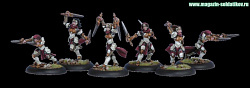 PIP 32046 Protectorate Daughters of the Flame Unit BOX, Warmachine