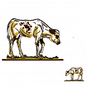 Волшебная фанера Коровы, телята, Теленок 11, Воины и битвы - фото