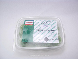 Материалы для создания диорам Кустарник лещина 20 шт, Dasmodel (DAS3055) (DAS3055)