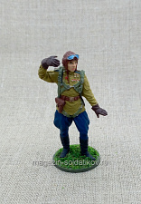 Командир эскадрильи 1944 г. 54 мм - фото