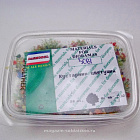 Кустарник цветущий вар.2 Dasmodel (DAS3061) (DAS3061)