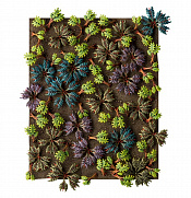 Citadel Barbed Bracken - фото