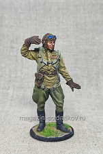 Командир эскадрильи 178-го гвард. авиац. полка капитан Кирилл Евстигнее, Красный фронт, 54 мм - фото