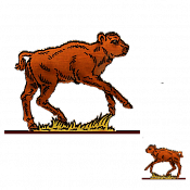 Волшебная фанера Зубры,телята, Теленок 12, Воины и битвы - фото