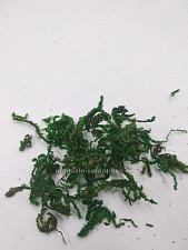 Растительность (декор), Dasmodel - фото