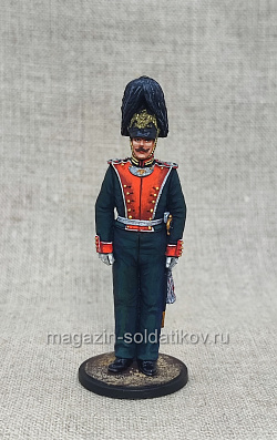 Миниатюра из олова Обер-офицер лейб-гвардии Преображенского полка 1851 г., 54 мм, Студия Большой полк (ИЛ2703.12.02.54) (ИЛ2703.12.02.54)