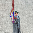 Миниатюра из олова Подпрапорщик с полковым знаменем, Россия 1914 г., 54 мм, Студия Большой полк (ИЛ2690.13.02.54) (ИЛ2690.13.02.54)