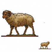 Волшебная фанера Овцы, ягнята, Овца 1, Воины и битвы - фото