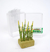 Материалы для создания диорам Цветы полевые №1 (жёлтые) 10 шт., Dasmodel - фото