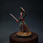 Sa-13 Shield maiden Astrid 28 mm, Brother Vinni`s - фото