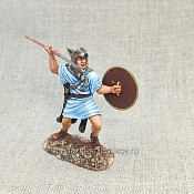 Велит римский - фото