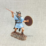 Велит римский - фото