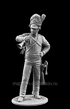 Сборная модель из металла Трубач полка «Шотландские Серые», Британия 1812-15 гг., 75мм, Chronos Miniatures - фото