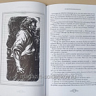 Букинистика Похитители бриллиантов, Буссенар Луи (Q540-1103) (Q540-1103)