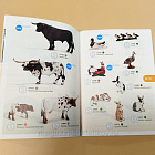Каталог Schleich 2013 (Q704-098) (Q704-098)