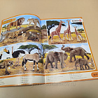 Каталог Schleich январь-июнь 2018 (Q704-103) (Q704-103)