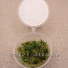 Кочки травы, лесные 6мм / 50шт. Dasmodel (DAS30157) (DAS30157)