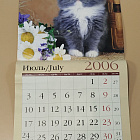 Календарь с котятами 2006 (VIL095) (VIL095)