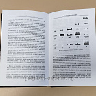 Майа.Исчезнувшая цивилизация, Майкл Ко (Q540-1116) (Q540-1116)