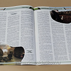 Солдат удачи, 03 2009 (174) (544-051) (544-051)