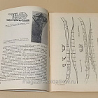 Букинистика Суда викингов, Фиркс И.фон (Q445-271) (Q445-271)