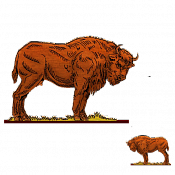 Волшебная фанера Зубры,телята, Зубр 4, Воины и битвы - фото