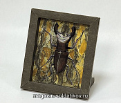 Коллекционная рамка «Жук». Умбум - фото