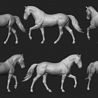 Сборная миниатюра из смолы Лошадь №25, 54 мм, Chronos miniatures