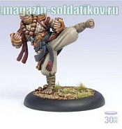 PIP 32060 Protectorate Allegiant of the Order of the Fist Solo BLI, Warmachine. Wargames (игровая миниатюра) - фото