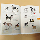 Каталог Schleich 2013 (Q704-098) (Q704-098)