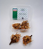 Материалы для создания диорам Кусты осень 5 шт., вариант №1, Dasmodel - фото