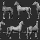 Сборная миниатюра из смолы Лошадь №13 - Буденновская порода - ЗЕРКАЛЬНАЯ 54 мм, Chronos miniatures