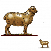 Волшебная фанера Овцы, ягнята, Овца 3, Воины и битвы - фото