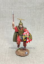 Кельтский воин - фото