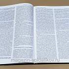 Сражение при Лейпциге. Часть 2