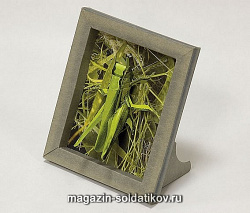 Коллекционная рамка «Кузнечик». Умбум (245) (245)