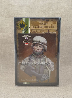 YM1816 USMC FALLUJAH IRAQ 2004 1/10 (Q455-060) (Q455-060)