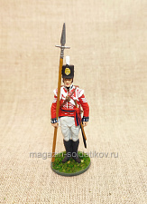 Сержант пехотных полков, Великоритания 1808-15 гг., 54мм - фото