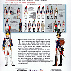 The French Imperial Guard 1804-1815: The Foot Soldiers