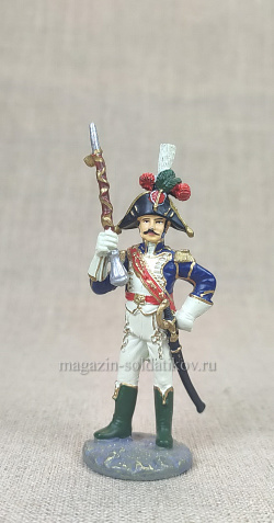 №13 - Тамбурмажор полка пеших егерей Старой гвардии, 1808-1810 гг.