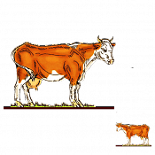 Волшебная фанера Коровы, телята, Корова 3, Воины и битвы - фото